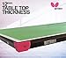 Butterfly Junior Stationary Ping Pong Table - 3/4 Size Table - Space Saver Game Table - Regulation Height - Sturdy Frame - Ships Assembled with Net