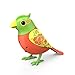 Digi Birds Pippa Single Pack