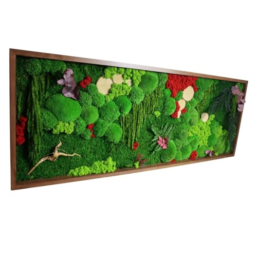 HelloMoss Moss Picture XXL Frame – Live Moss Wall Art
