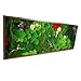 HelloMoss  Quadro vegetale stabilizzato rettangolare – Decorazione murale naturale con muschio islandese, legno, piante e fiori – Cornice artigianale, senza manutenzione (nero, 50 x 50 cm)