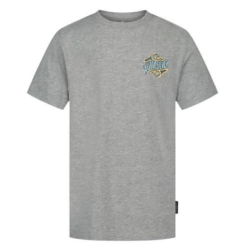 Image of Quiksilver Boys' Short Sleeve Logo Graphic T-Shirt, Soft & Comfortable, Regular Fit