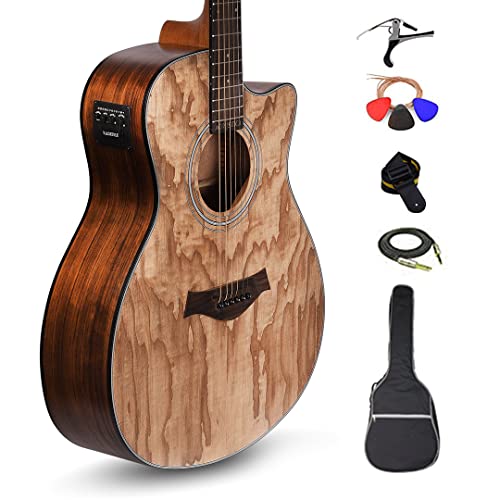 Kadence Acoustica Series,Electro Acoustic Guitar Ash/Zebra Wood With Inbuilt Tuner (Ash Super Combo) #TOP7