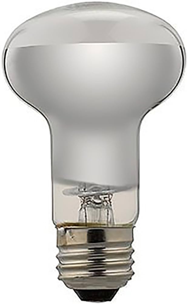 写真用レフランプ他引き伸ばし用電球 楽天市場】LED電球 レトロランプ エジソン型 電球色 試験管型 長