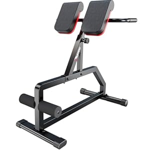 PASYOU Roman Chair, Foldable Back Extension Machine Hyperextension Bench for Home Gym, Workout & Fitness Equipment for Core Strength Training