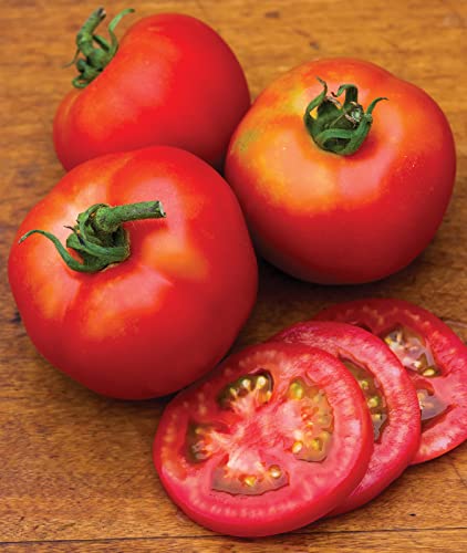Burpee Early Girl Tomato Seeds 50 Seeds #TOP4