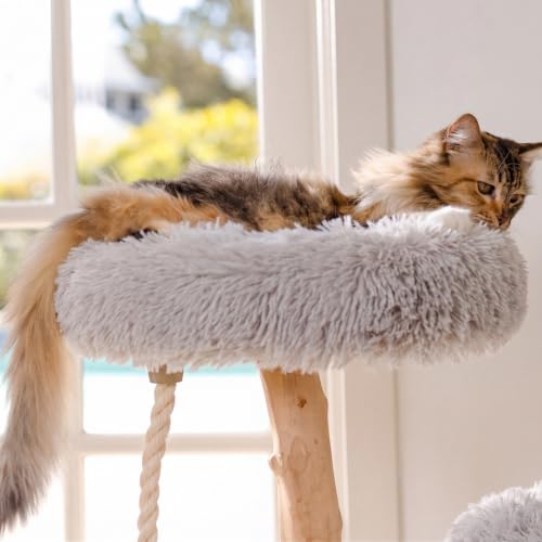 Image of Mau - Modern Wood Cat Tree Tower, Real Branch Scratching Post, Cat Condo