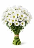 Farm2Door-49 White Daisies Bouquet,Flowers for Valentine, Mother's Day