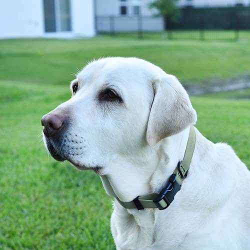 Image of Dogline Biothane Waterproof Dog Collar with Quick Release Buckle Strong Coated Nylon Webbing with Odor- Proof for Easy Care Easy to Clean Fits Small Medium Large Dogs, Sage Green 1 inch W 15-23 inch L