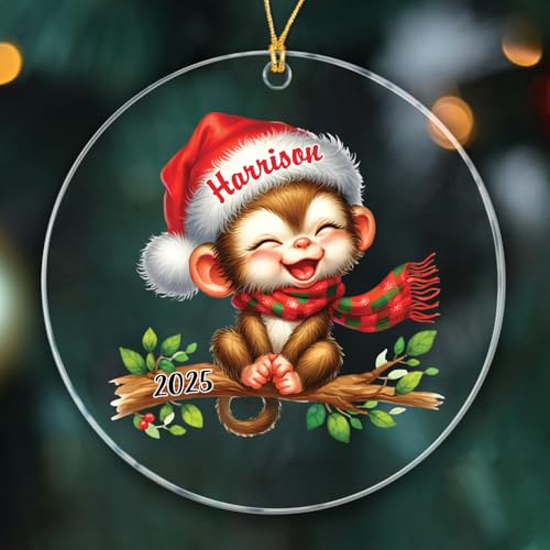 Monkey Christmas Ornaments 2025, Personalized Monkeys Xmas Ornament Gift for Animal Lover Men Women Kids Child, Cute Baby Monkeys Ornament Gift, Customized Year & Name Monkey Lover Ornaments Hanging