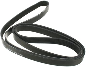 multi rib belt