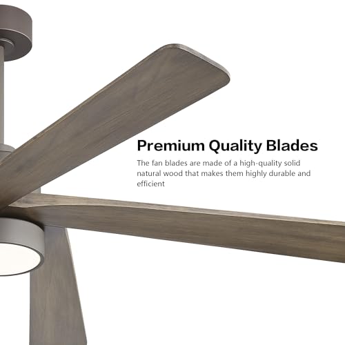 Image of WINGBO 64 Inch DC Ceiling Fan with Lights and Remote Control, 5 Reversible Carved Wood Blades, 6-Speed Noiseless DC Motor, Modern Ceiling Fan in Graphite Finish with Gray Blades, ETL Listed