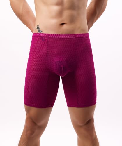 WINDAY Men's Breathable Underwear Lace Mesh Soft Moisture Wicking Boxer Briefs2