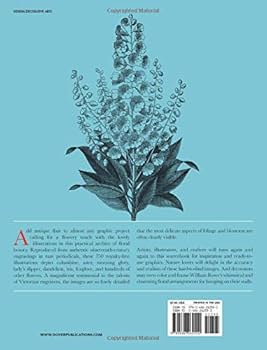 Floral Illustrations: A Treasury of Nineteenth-Century Cuts