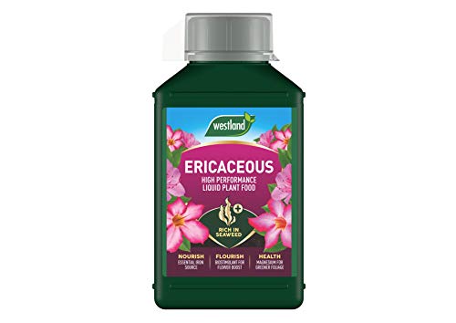 Westland Ericaceous Liquid Plant Food 1L