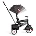Radio Flyer 4-in-1 Stroll 'N Trike, Convertible Stroller to Toddler Trike for Ages 1-5, Grows with Your Child