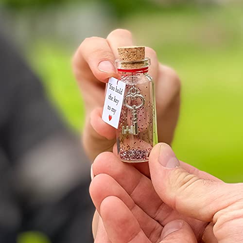 Romantic-Message-in-a-bottle-to-give-boyfriend-or-girlfriend-Wedding-anniversary-love-gift-Wish-jar-with-a-card-for-husband-or-wife-Key-in-a-bottle-You-Hold-The-Key-to-My-Heart