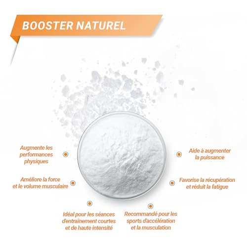 CRÉATINE MONOHYDRATE * Sachets de 500 g * Muscles et Squelettes, Performances sportives (douleurs musculaires, récupération) (500g) – Image 4