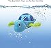 PEGAFOX Set of 3 Baby Bathtub Wind up Turtle Toys Fun Multi Colors Swimming Bath tub, Beach, Pool Playset for Boys and Girls