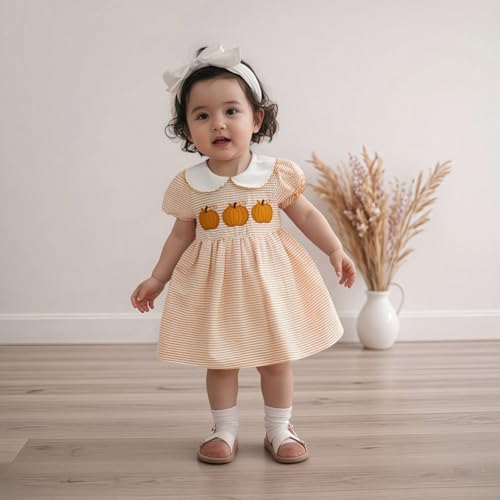 Toddler Girl Back to School Clothes Embroidery Smocked Dress Doll Collar Sundress First Day of Pre Kindergarten Outfit2