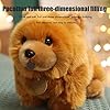 Cricia Realistische Toy Dog, 10 inch Leuke Chow Hond Pluche Speelgoed Zacht Gevuld Dier Pluizige Pop Sierkussen Sofa… - Afbeelding 4