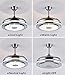 Fandian 42'' Modern Smart Ceiling Fans with Light,Bluetooth Speaker Music Player Chandelier, 3 Colors 3 Speeds Retractable Blades with Remote Control, Silent Motor with LED Kits (42in-Silver1)