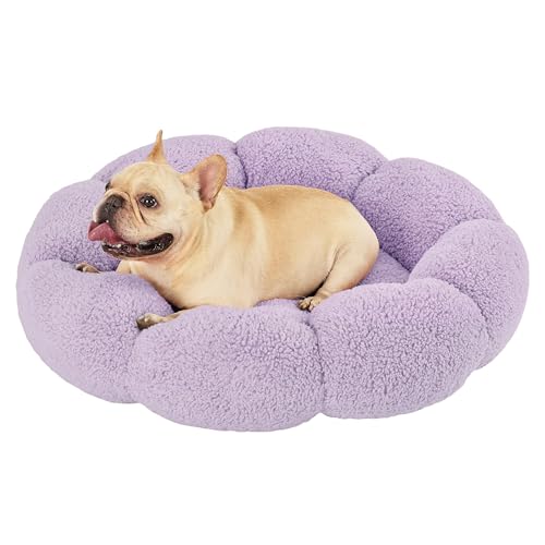 lesure calming medium dog bed - flower donut round fluffy puppy bed in plush teddy sherpa non-slip cute flower cat beds for indoor cats medium pet bed fits up to 45 lbs machine washable purple 3034