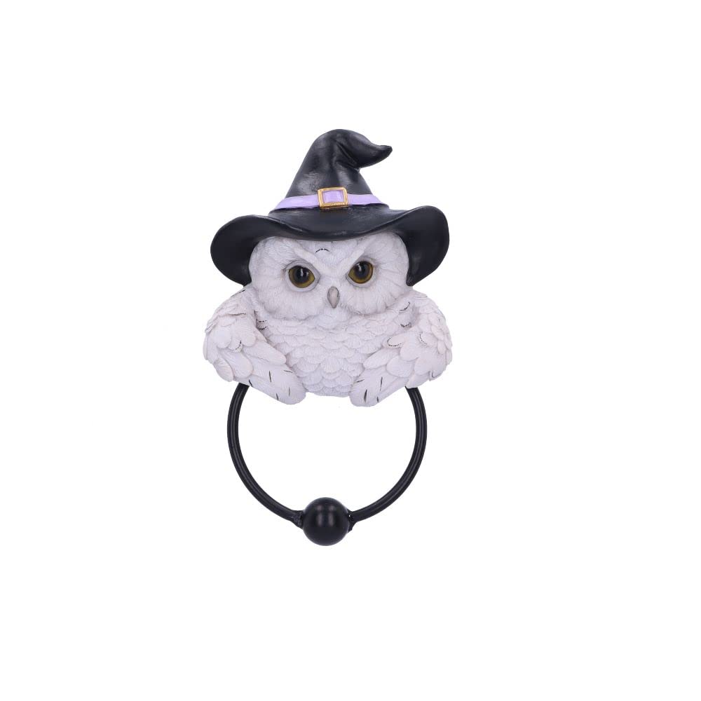 Blue Pirate Black Snowy Magic Door Knocker 21Cm
