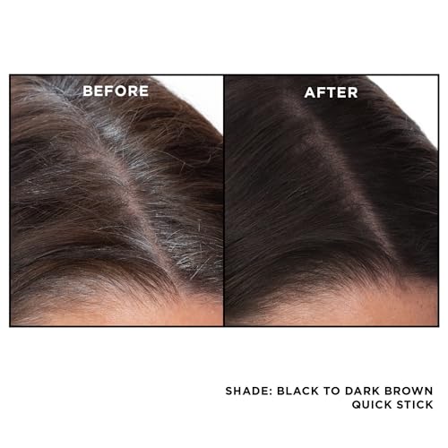EVERPRO Bastão rápido de retoque de raiz cinza, preto/marrom escuro, 2,8 g