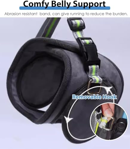 Silla de ruedas para perros: Solución ajustable para parálisis de mascotas 6