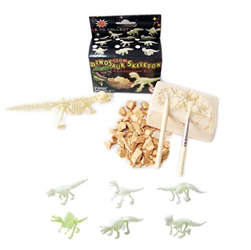 NW Active Kids Small Glow in The Dark Dinosaur Excavation Kit