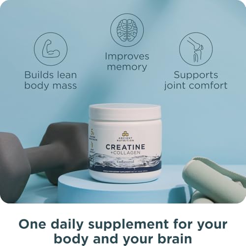 Ancient Nutrition 5g Creatine Monohydrate + Collagen Powder - image 3