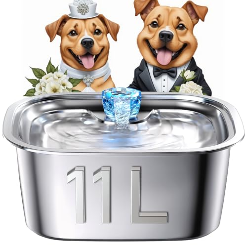 Dog Water Fountain, Stainless Steel Dog Water Fountain for Large Dogs Pet Water Fountain, PETDOTT Do
