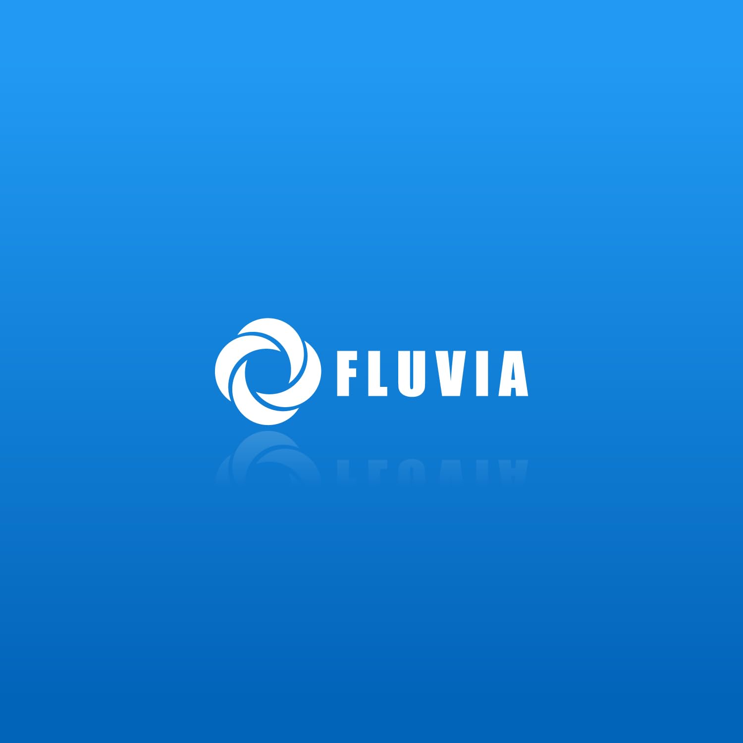 Presscontrol Automático para Bomba de Agua 220-240V – Controlador Electrónico de Presión para Grupo de Presión Doméstico, Arranque y Paro Automático, Protección contra Funcionamiento en Seco - 5