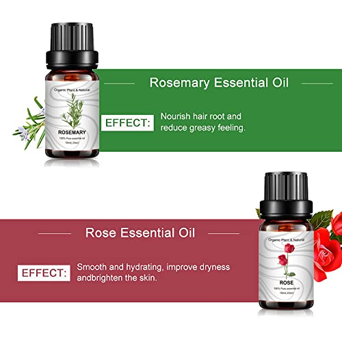 Cigooxm Conjunto de presentes com 14 garrafas de óleos essenciais Óleos essenciais puros para difuso