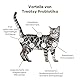 Treatsy Ergänzungsfuttermittel für Katzen – Verdauung – Gegen Durchfall & Verstopfung – Prä- & Probiotika, Flohsamenschalen – Von Tierärzten empfohlen