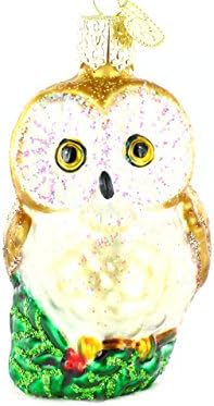 Old World Christmas Ornaments: Owls Glass Blown Ornaments for Christmas Tree, Christmas Owl