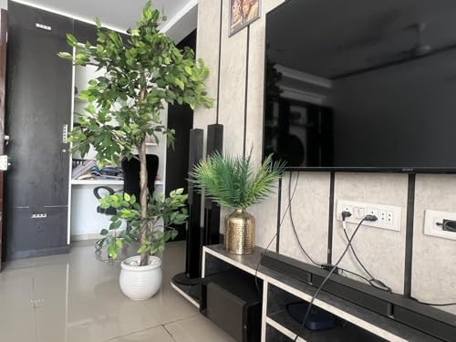 Image of Artificial Ficus Plant with Pot | 180 cm (6 ft) Tall | Premium Realistic Indoor Decorative Tree for Home, Office & Commercial Spaces