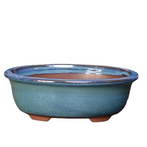 Wensmy 2pcs Glaze Bonsai Pots Ceramic Modern Glaze Succulent Planter Pot with Drainage Hole Vintage Bonsai Mini Glazed Pots Cactus Flower Container Bowl Garden Decoration (18.3x13.2x6cm)