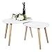Bonnlo Nesting Tables End Tables Set of 2 for Living Room, Home and Office, White