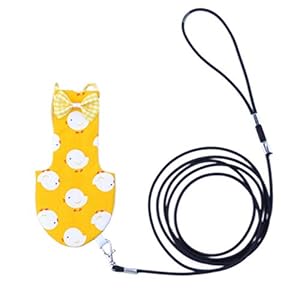 ampusanal Huisdier Vogel Harnas Lijn Papegaai Anti Bite Nylon Training Touw Outdoor Tractie Vliegen Spelen Wandelen Gear…