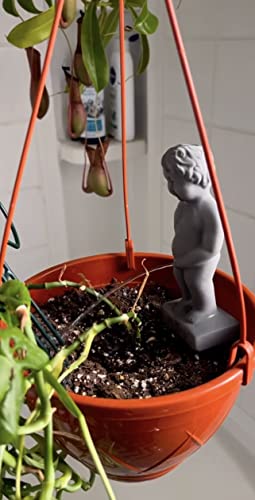 NPW-USA Plant Life Pee My Plants, Garden Statue, Color-Stone, Peeing Boy - Image 4