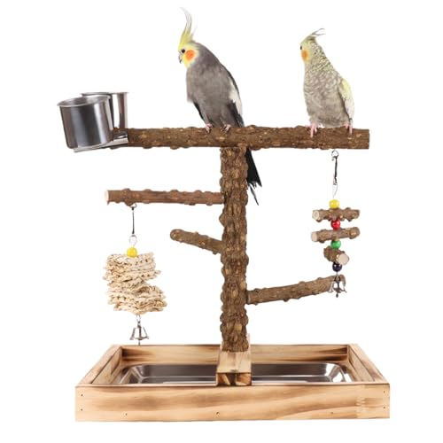 Bird Playground - Bird Play Stand Wood Perch | Chew-Resistant Parakeet Gym Playstand Toys for Feeding Training Outside Indoor Play | Parrot Cage Branch Perch Accessories for Canaries Lovebirds