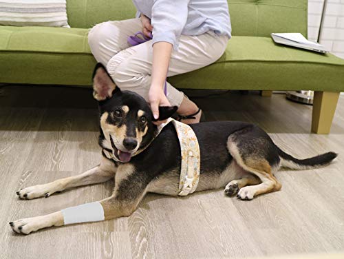 Fresinider 9 Rolls Self Adhesive Wrap Athletic Tape Gauze, Breathable Elastic Cohesive Bandage For Sports Injury & Pet (7 Pcs 2"X 5 Yards + 2 Pcs 1" X 5 Yards) (White) #TOP6