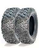 GarveeTech Set of 2 ATV UTV All-Terrain Tires 25x10-12, 6PR Tubeless Heavy Duty Off-Road Tires for Mud & Sand, Durable Off-Road Performance & High Load Capacity