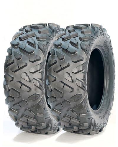 GarveeTech Set of 2 ATV UTV All-Terrain Tires 25x10-12, 6PR Tubeless Heavy Duty Off-Road Tires for