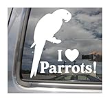 I Heart Parrots - Love Bird Pet Parrot - Cars Trucks Moped Helmet Hard Hat Auto...