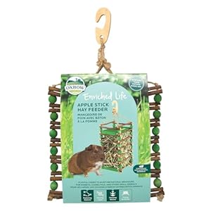 Oxbow Enriched Life Apple Stick Hay Feeder, Rabbit Toys, Guinea Pig Toys, Enrichment for Bunny, Guinea Pig, Hamster, Rabbit, Chinchilla, Chinchilla Cage Accessories, Small Pet Accessories for Cage