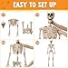 JOYIN 5 FT Halloween Skeleton Life Size, Stayable Posable Skeleton Decor, Full Body Movable Joints Giant Skeletons for Halloween Decoration Outdoor, Haunted House Prop, Spooky Scary Graveyard Party
