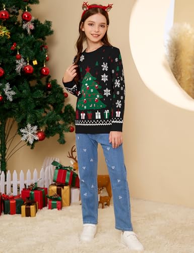 Pull de Noël famille ensemble assorti à offrir pour homme et enfant