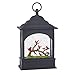 Raz Cardinal Lighted Water Lantern